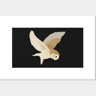 Barn Owl in flight with purple sky Posters and Art